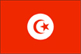Tunisia's Flag