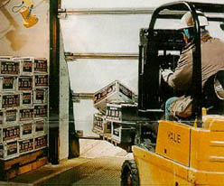 Avoid Accidents Before They Happen!