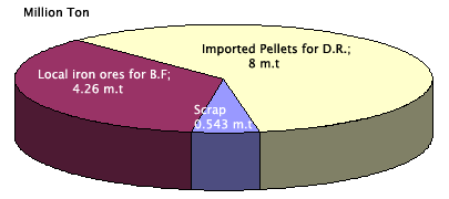Local iron ores for B.F, Imported Pellets for D.R, Scrap